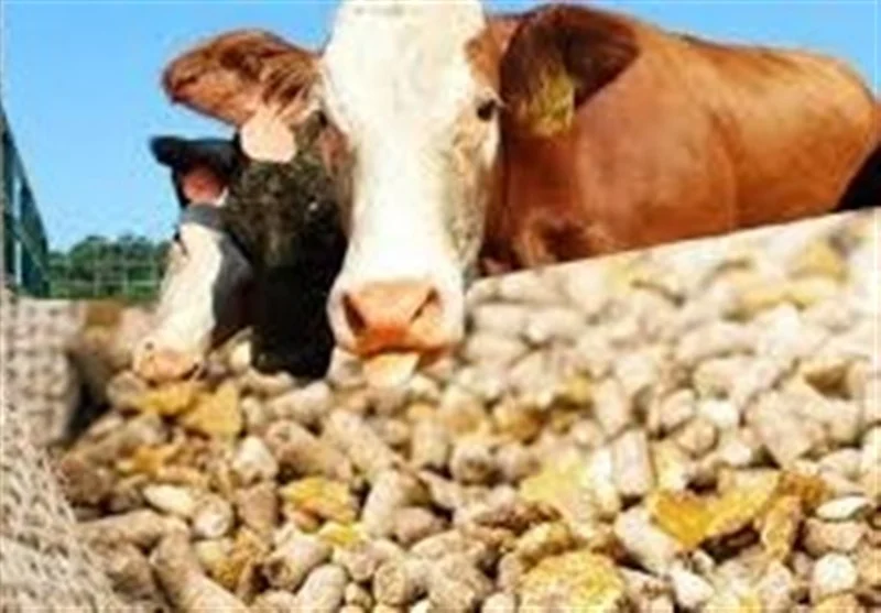 هشدار سازمان بازرسی به وزارت جهاد کشاورزی درباره نهاده‌های دامی – فوتی فوری